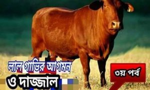 Read more about the article লাল গাভির রহস্য ও দাজ্জালের আগমন ( পর্ব ৩)