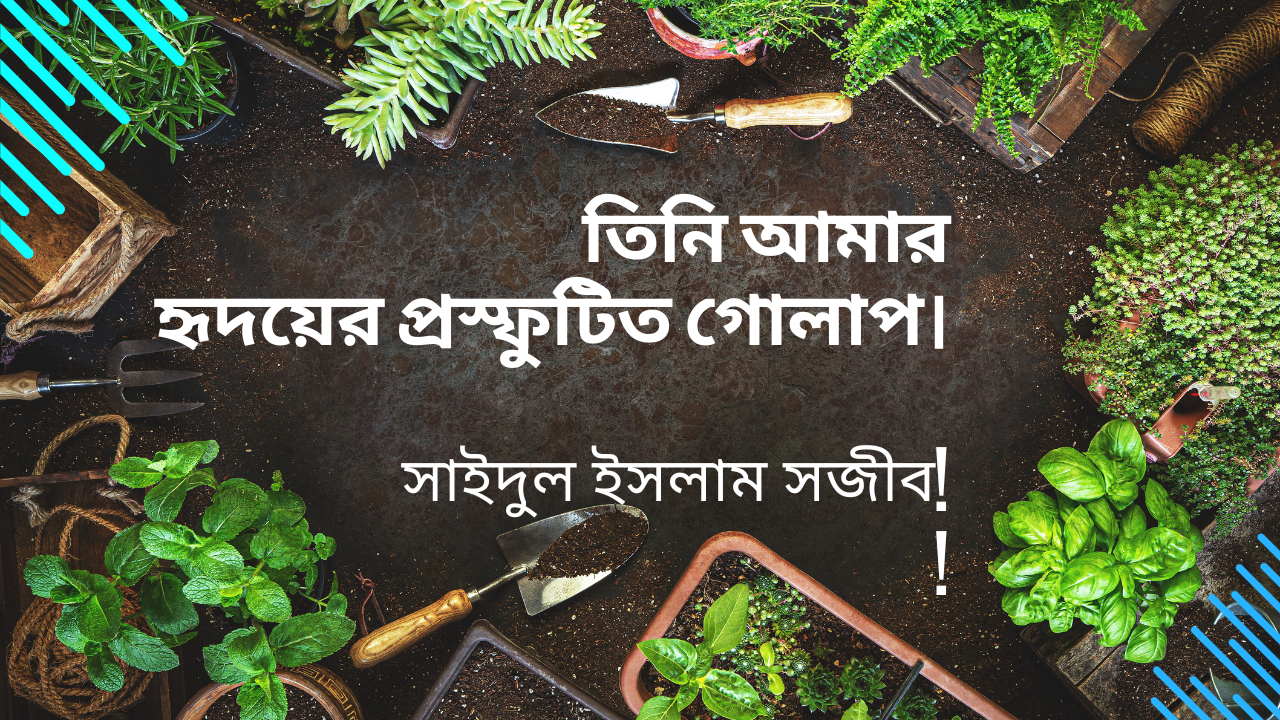 Read more about the article তিনি আমার হৃদয়ের প্রস্ফুটিত গোলাপ।সাইদুল ইসলাম সজীব যে রহস্যের মাঝে আটকে আছে!